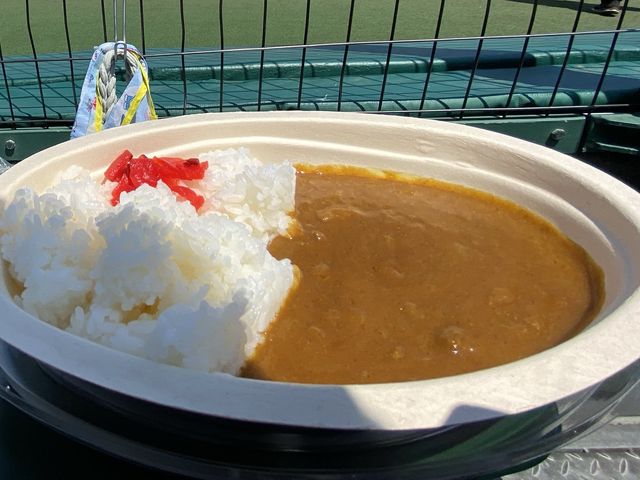 【兵庫・西宮】阪神甲子園球場