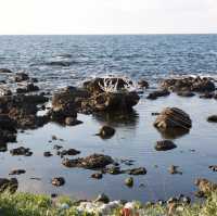 能登半島 ｜🩵木ノ浦海域公園