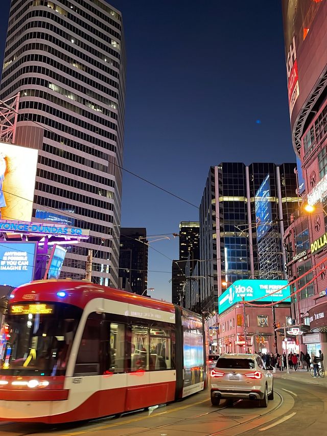 🇨🇦폭설과 스노우스톰이 자주오는 대도시 “토론토Toronto”⛄️