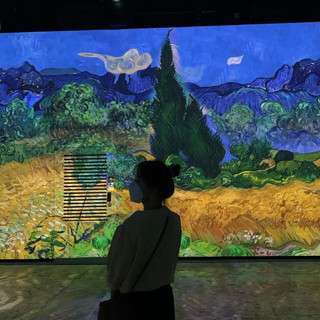 🌅🎨 빛의 벙커: 예술과 역사가 만나는 특별한 공간 🌴🎶