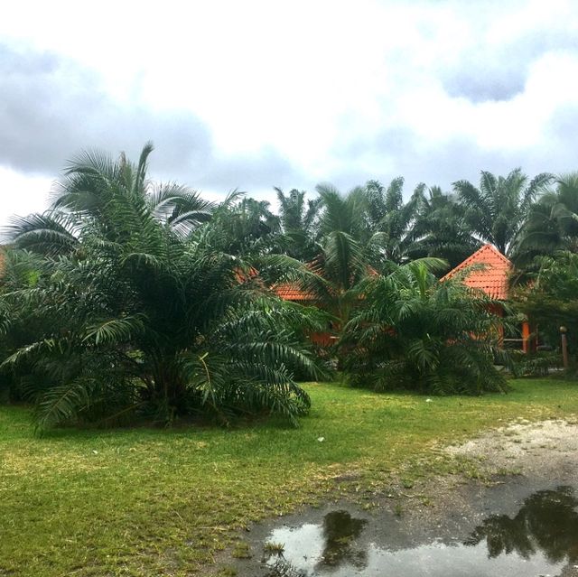 Pitch Me Resort