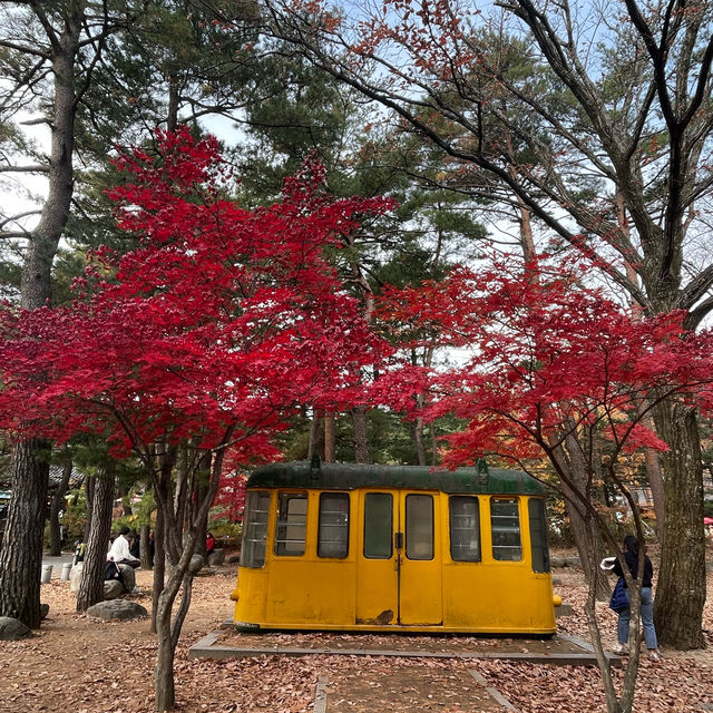 Seoraksan during autumn 🍂 