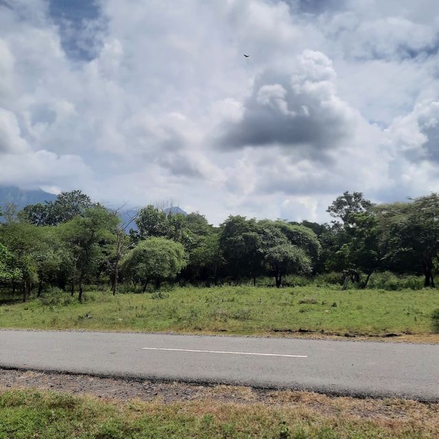 Baluran National Park