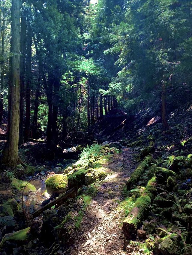 征服高山🏔️🌄🌳 能勢妙見山