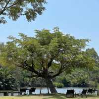 Baanpat - บ้านพัฒก์ คาเฟ่ริมน้ำ