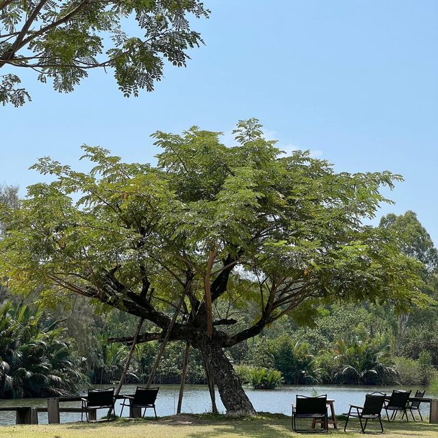 Baanpat - บ้านพัฒก์ คาเฟ่ริมน้ำ