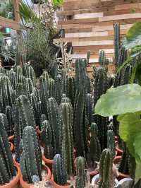sbotanical エスボタニカル
