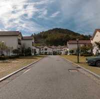 The Beauty of Damyang Meta Provence 