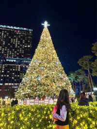 19m짜리 초대형 크리스마스트리🎄✨