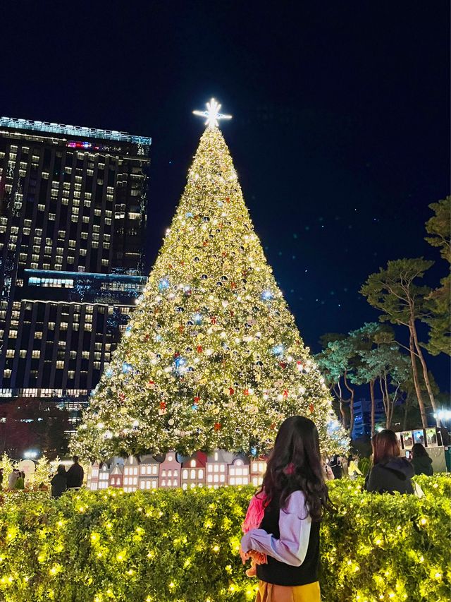 19m짜리 초대형 크리스마스트리🎄✨