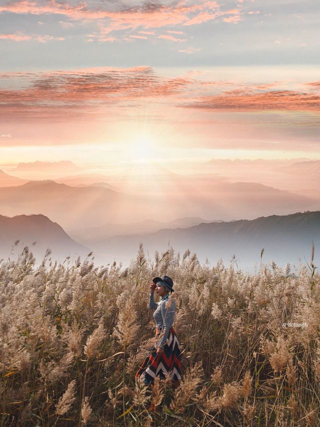 So beautiful you won’t believe it’s Seoul 🇰🇷