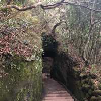 【地獄ののぞき見！？鋸山散策】