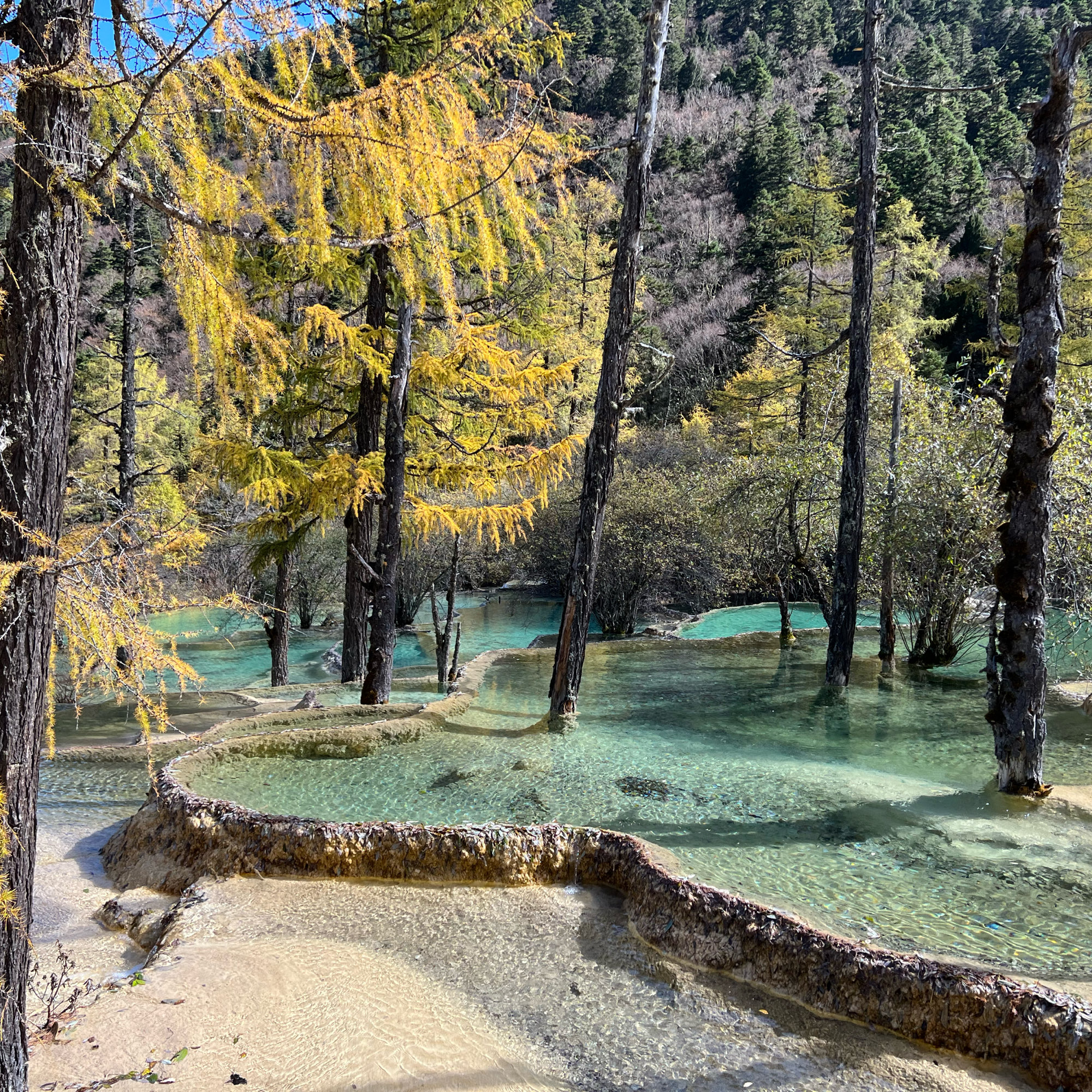 人間仙境的朋友🐉人間瑤池-黃龍｜Trip.com 黃龍風景名勝區
