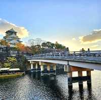 เที่ยวปราสาทโอซาก้า Osaka Castle