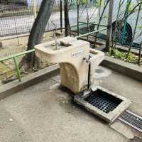 参道の途中にある公園 - 氷川の杜公園 -