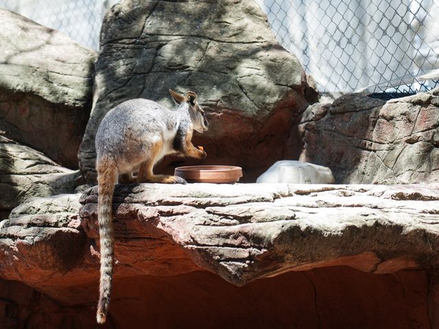 Best Indoor Wild Life Experience in Sydney 