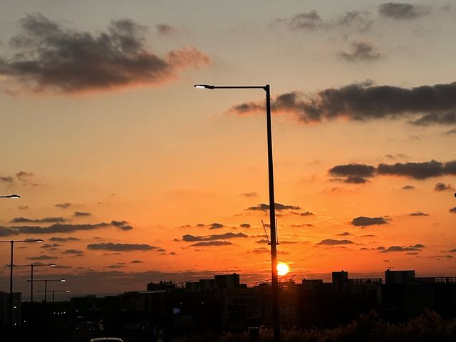 겨울-봄의 제주도는 아름다웠다…😌