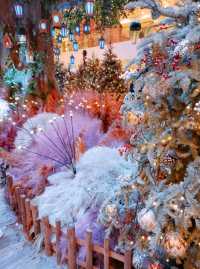 🎄太古廣場🎄奇幻森林