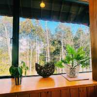 【長野県/森の中にある眺めの良いレストラン🌲🍽️🦌✨】