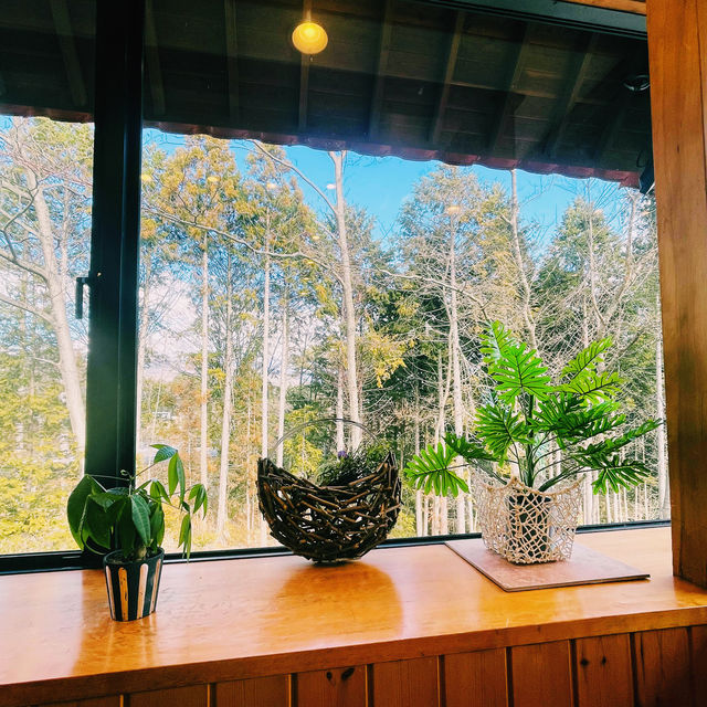 【長野県/森の中にある眺めの良いレストラン🌲🍽️🦌✨】