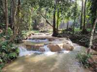 ชมน้ำตกหินปูนสุดงดงาม ในอำเภอเชียงดาว ⛰️