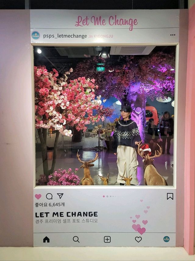 겨울경주여행코스로 추천하는 정글미디어파크✨️