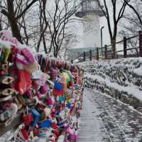 Love Locks