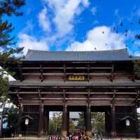 3天2日奈良旅遊呀~ #歷史建築#舊古都