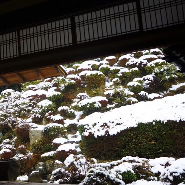 雪中遊玩🎿常念寺 