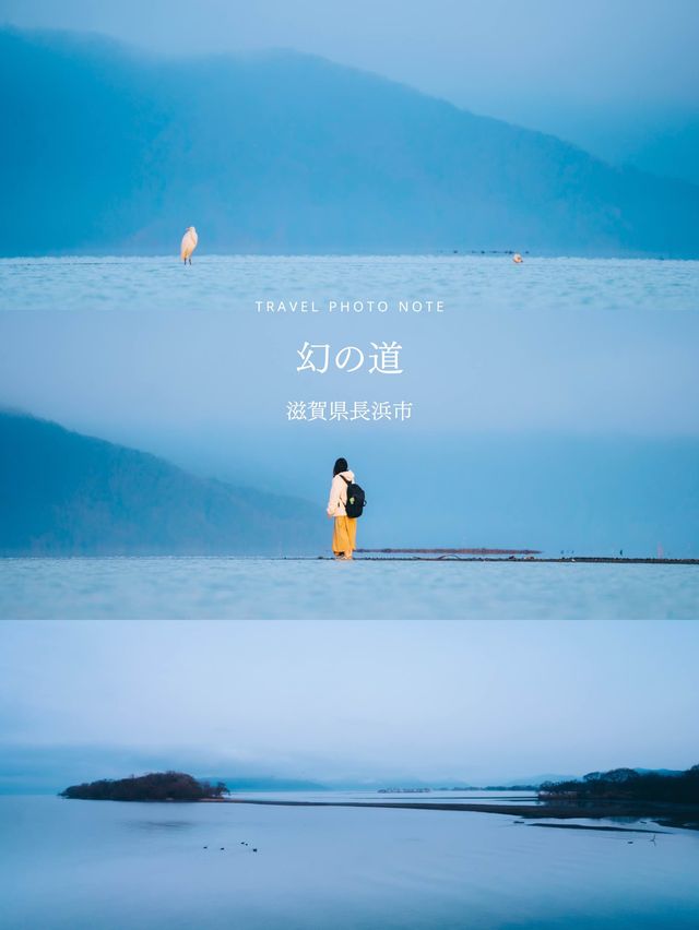 幻の道（滋賀県長浜市）