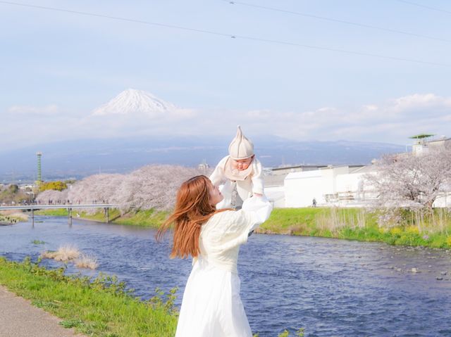 知る人ぞ知る、富士山と桜の名所『龍巌淵』MAPあり！