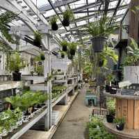植物園！？素敵すぎる園芸ショップ！