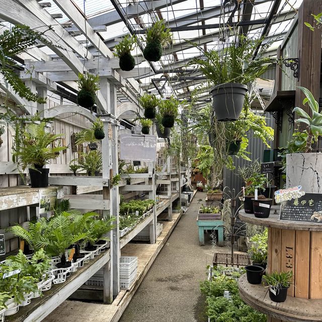 植物園！？素敵すぎる園芸ショップ！