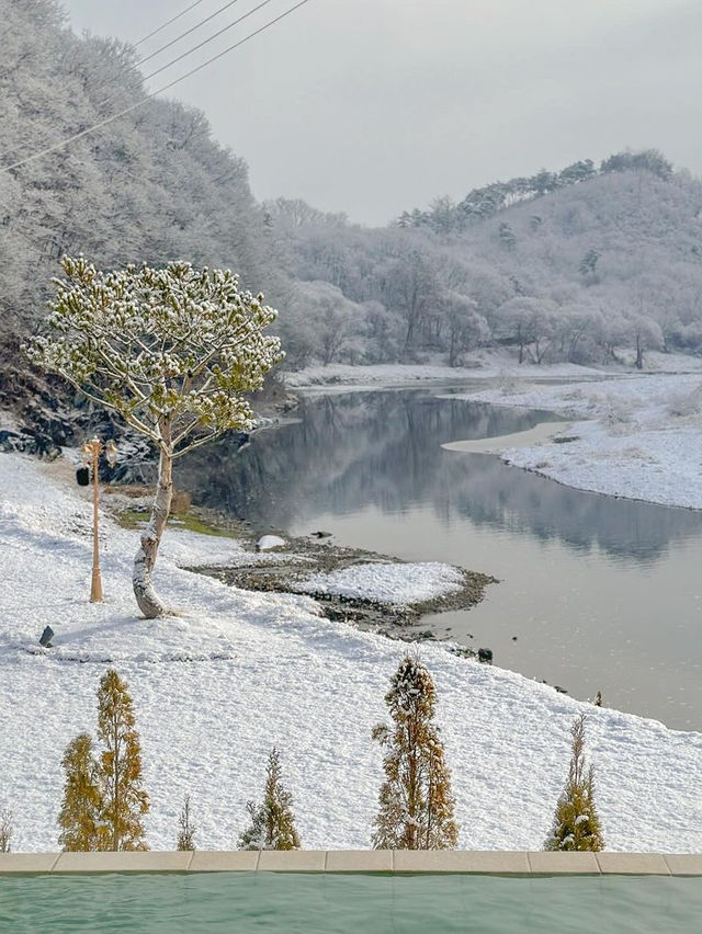 사계절 다 매혹적인 청주 감성 스테이.