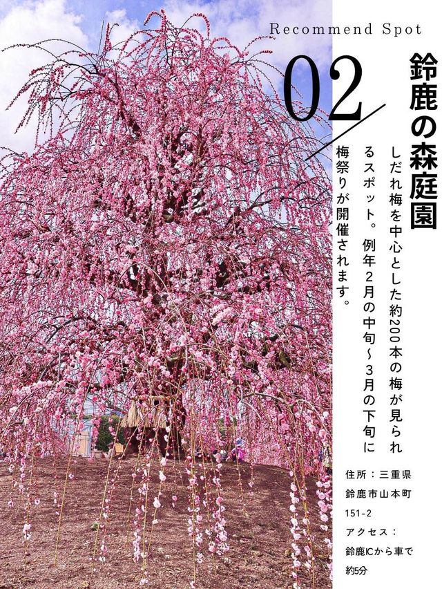 2月のお出かけにおすすめ 全国おすすめ梅スポット5選