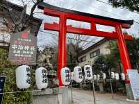 《京都宇治半日遊》