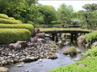 Sunpu Castle Park Momijiyama Garden 