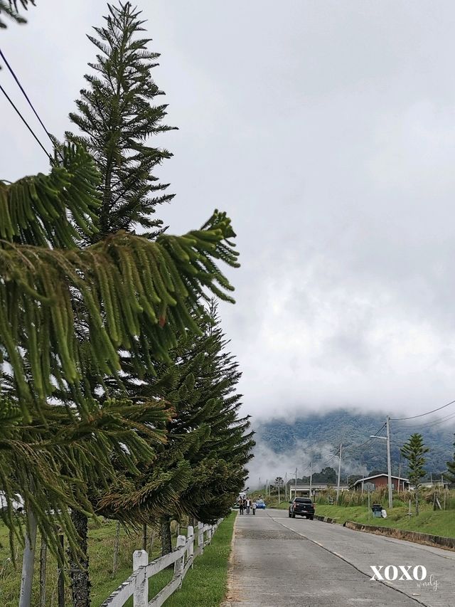 New Zealand of Malaysia in Sabah