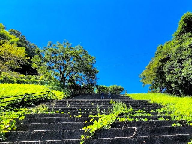 Kutsurogi Park