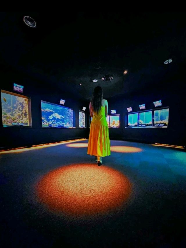 【和歌山/映えスポット】穴場最強映えスポ