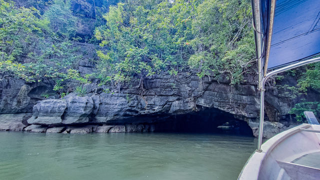 Langkawi Mangrove Tour