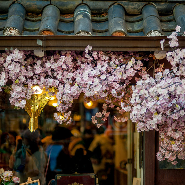 Korea Spring's Spectacular Symphony 🌸