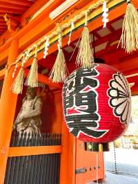 【京都】紅葉が有名だけど、実は立派な枝垂れ桜が見応えのある寺院