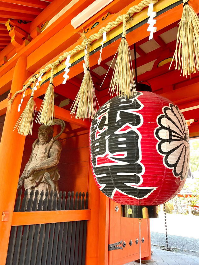 【京都】紅葉が有名だけど、実は立派な枝垂れ桜が見応えのある寺院