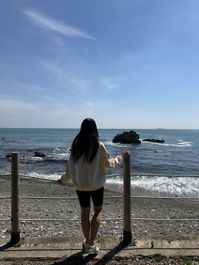 오션뷰1열 푸른바다 액자뷰 감성캠핑장 
