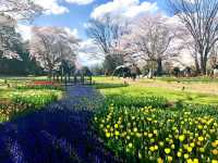東京國營昭和紀念公園