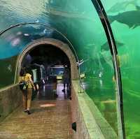 Sisaket Aquarium