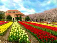Fukaya Green Park