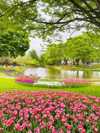 【立川】昭和記念公園の桜とチューリップは、絶対に見てほしい