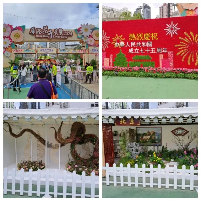 2024年香港花卉展覽參觀的個人感受